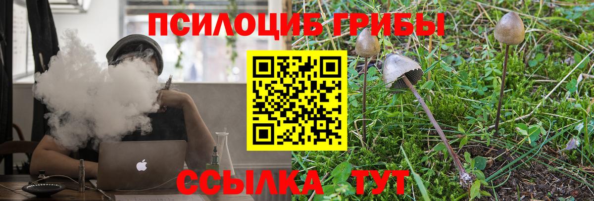 Калининград  Псилоцибиновые грибы Cubensis  Галлюциногенные грибы мицелий  как найти наркотики  Вход с VPN 
